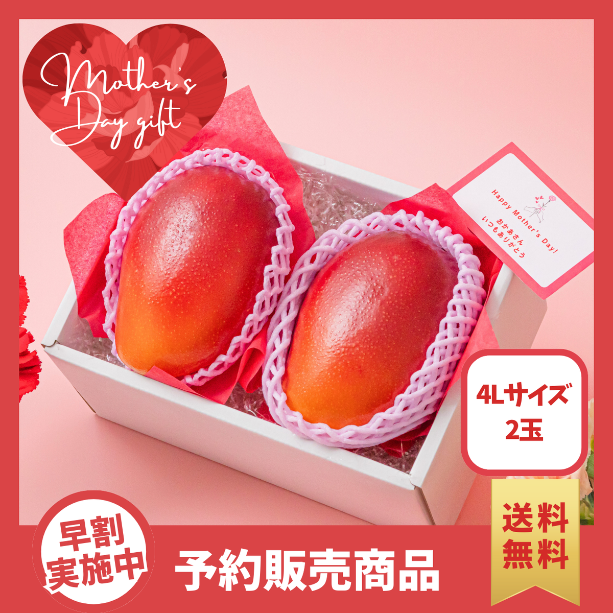 宮崎県産 完熟マンゴー 8kg (パック詰) 宮崎県産 完熟マンゴー 8kg (パック詰)