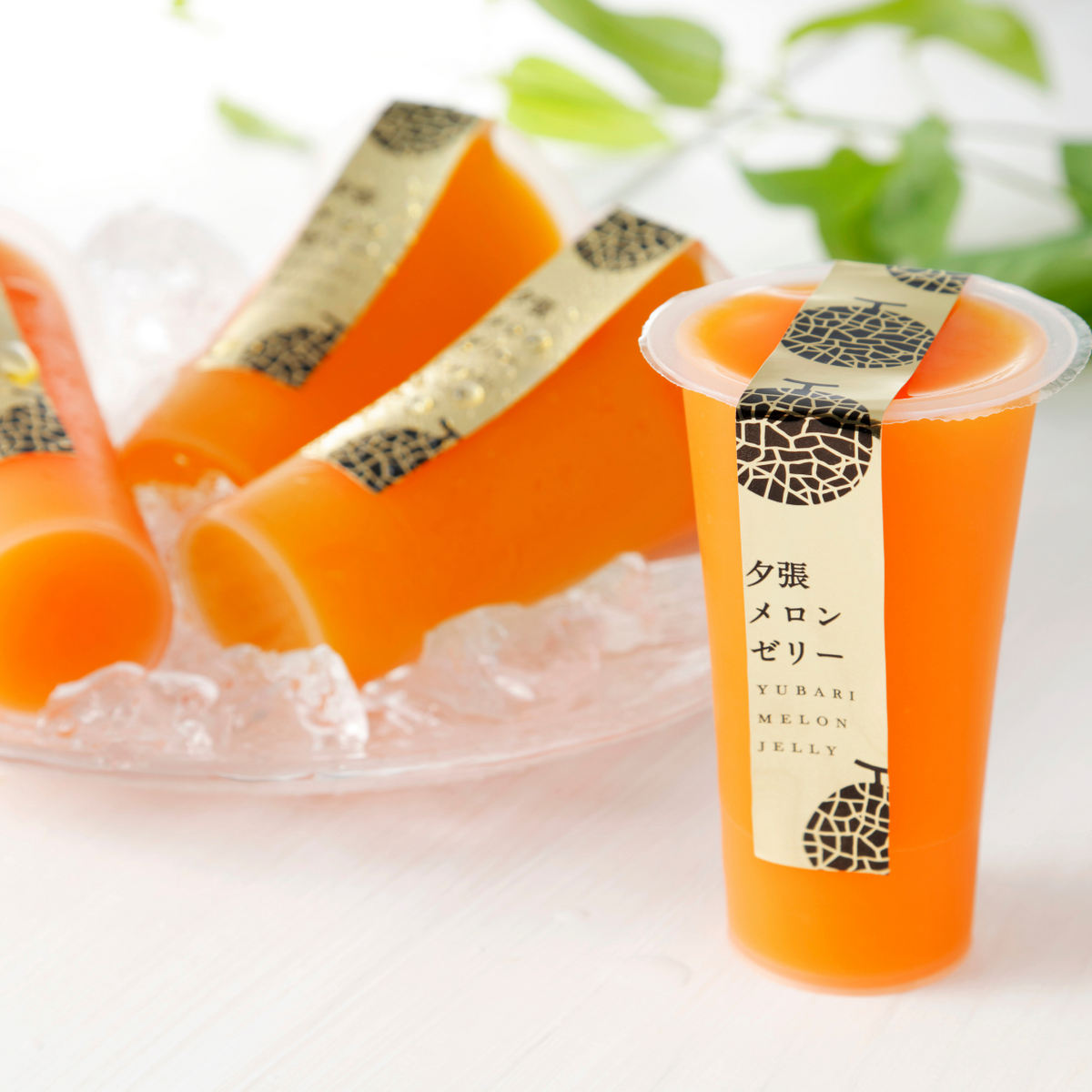 ギフト〉 夕張メロンゼリー 125g×9個入り – 九州屋plus+