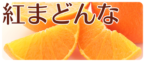 2024年　お歳暮　紅まどんな