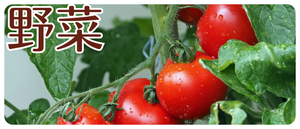 2024年　お歳暮　野菜