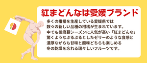 クイズ①答え：紅まどんなの産地は？