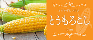 とうもろこし特集