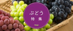 ぶどう特集