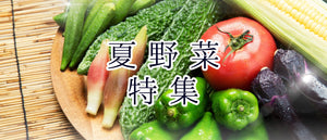 夏野菜特集
