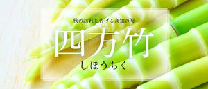 四方竹特集