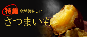 さつまいも特集