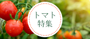 トマト特集