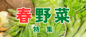 春野菜特集
