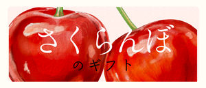 母の日ギフト　さくらんぼのギフト