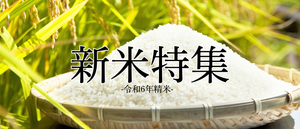 新米特集