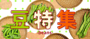 豆野菜特集