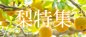 梨特集