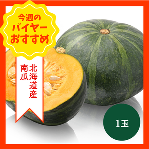 【8/23からおすすめ商品】南瓜　1玉　北海道産