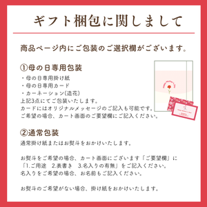 〈母の日ギフト〉
【2Lサイズ】宮崎県産完熟マンゴー「太陽のタマゴ」のギフト（2玉詰め）