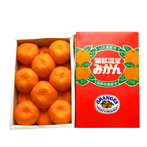 【早割】愛知県産 蒲郡温室みかん 約1.2㎏ 12～15玉〈父の日ギフト〉