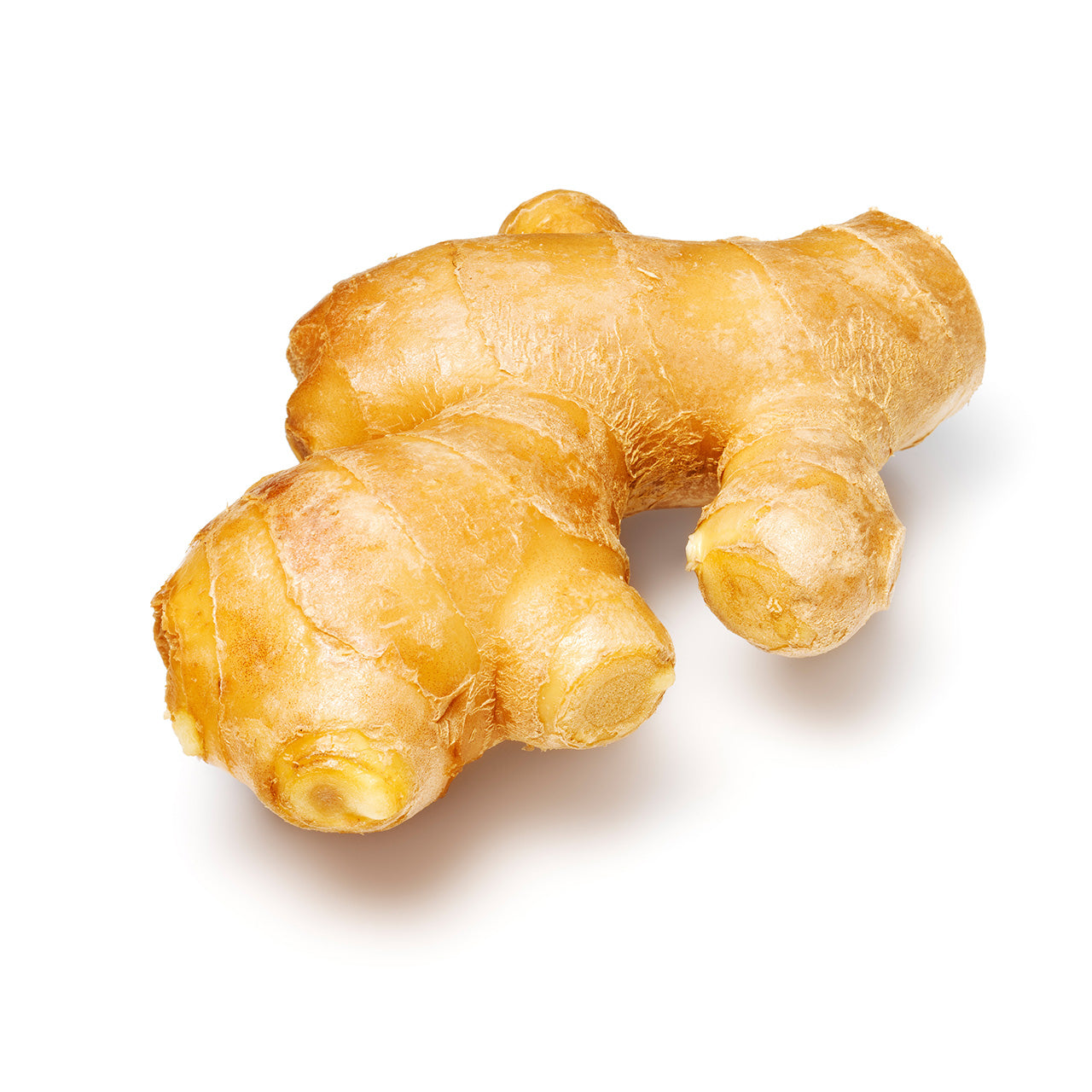 高知県産 生姜 1パック(約75g) – 九州屋plus+