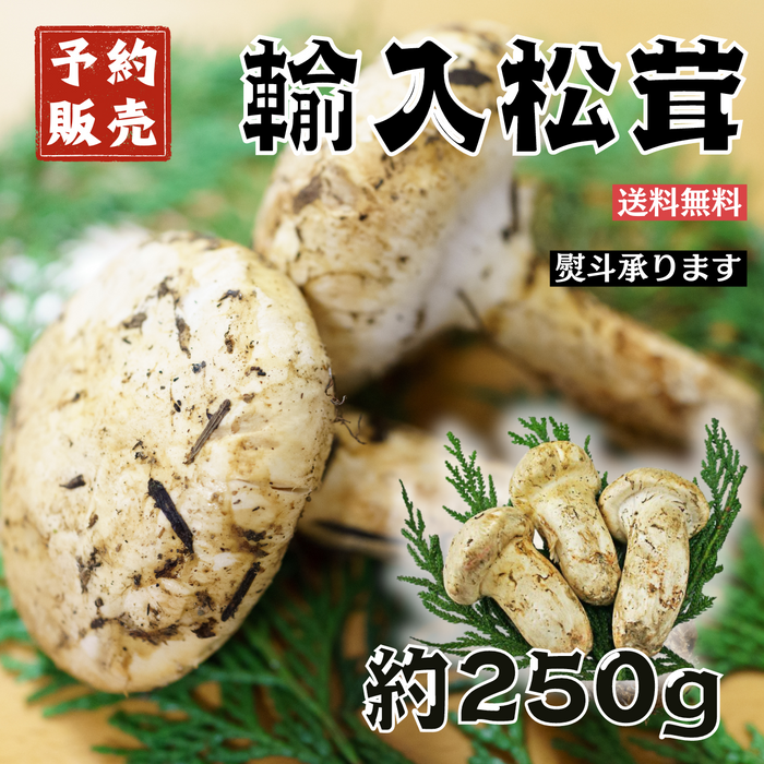 中国産 松茸 約1kg まつたけ マツタケ。（松茸800g（S〜L混合 8