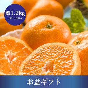 〈お盆ギフト〉
愛知県産 蒲郡温室みかん 12～15個入　約1.2kg