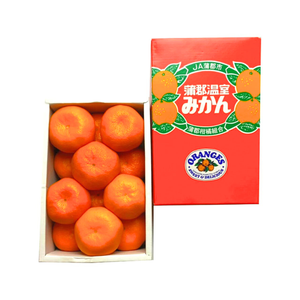 〈母の日ギフト〉
愛知県産蒲郡温室みかんのギフト（Mサイズ、12個詰め化粧箱）【旬果】