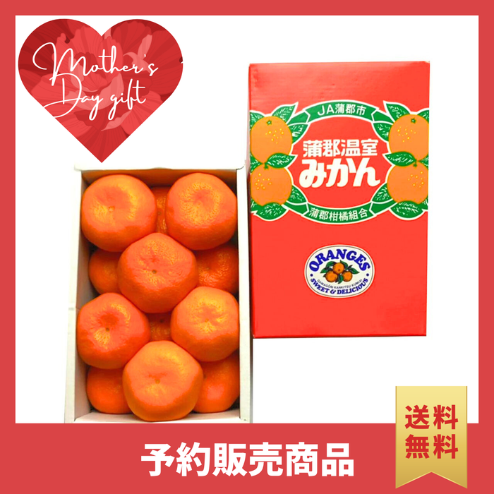 〈母の日ギフト〉
愛知県産蒲郡温室みかんのギフト（Mサイズ、12個詰め化粧箱）【旬果】
