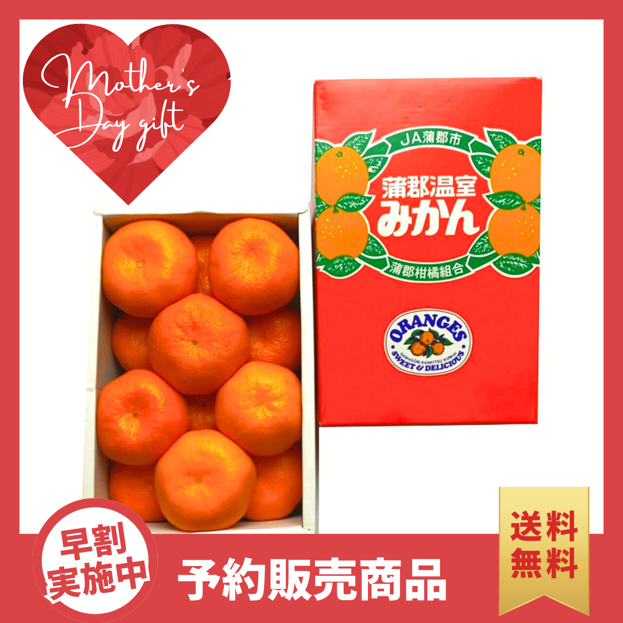 国産柑橘特集 – 九州屋plus+