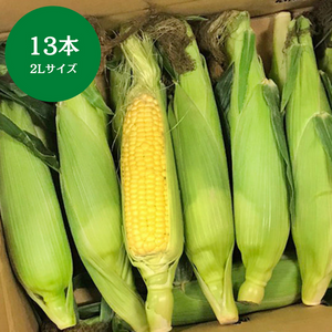 群馬県産他 
恵味とうもろこし
2Lサイズ  
13本