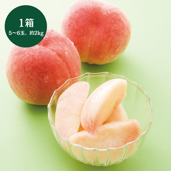福島県産
■糖度13度以上■高糖度白桃
化粧箱 5～6玉入（約2kg）