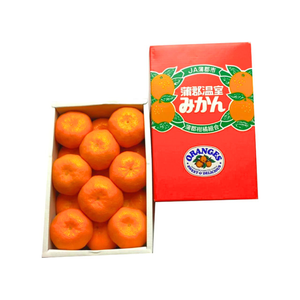 〈母の日ギフト〉
愛知県産蒲郡温室みかんのギフト（Sサイズ、15個詰め化粧箱）【旬果】