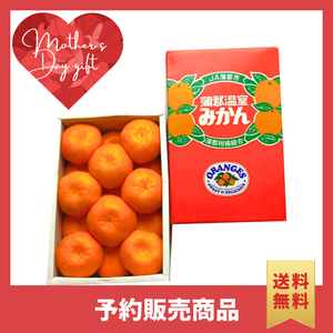 〈母の日ギフト〉
愛知県産蒲郡温室みかんのギフト（Sサイズ、15個詰め化粧箱）【旬果】