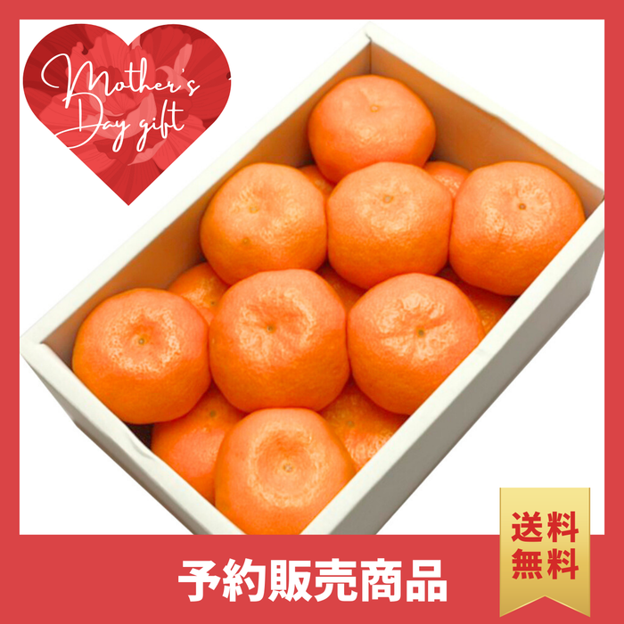 〈母の日ギフト〉
佐賀県産他温室みかんのギフト（12～15玉詰め、1箱化粧箱）【旬果】