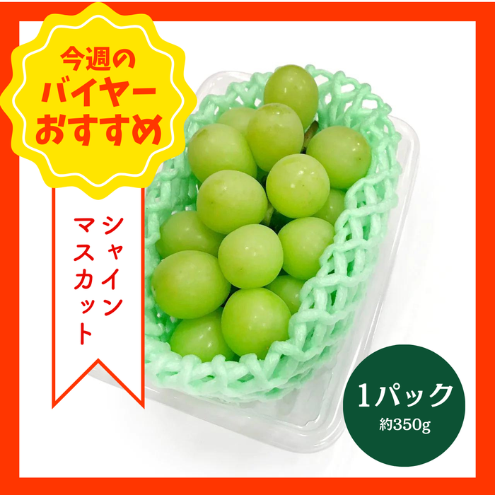【8/23からおすすめ商品】シャインマスカット　1パック(約350g)　山梨県産他
