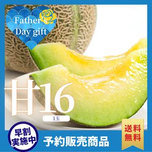 【早割】千葉県産 アムスメロン「甘16」1玉〈父の日ギフト〉