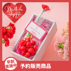 〈母の日ギフト〉■早割■
山形県産 紅秀峰のギフト（2L～3Lサイズ、約100g×1パック）【旬果】