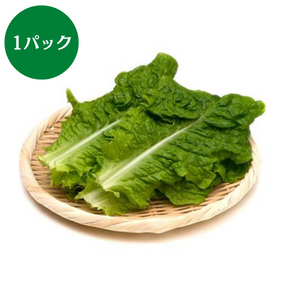 千葉県産他
サンチュ
1パック