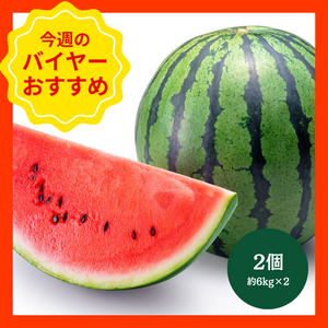 【3/22からおすすめ商品】大玉西瓜　2玉(約6kg×2)　熊本県産他