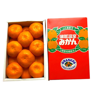 〈ギフト〉
【予約販売】愛知県蒲郡産ハウスみかん　愛知県蒲郡産　化粧箱 約1kg【4月中旬発送予定】