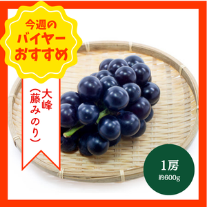 【8/2からおすすめ商品】大峰(藤みのり)　1房(約600g)　山梨県産