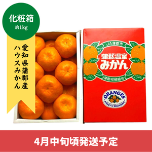 〈ギフト〉
【予約販売】愛知県蒲郡産ハウスみかん　愛知県蒲郡産　化粧箱 約1kg【4月中旬発送予定】