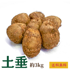 〈ギフト〉埼玉県産 土垂里芋のギフト 1箱（約3kg）