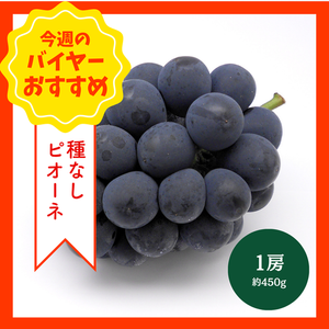 【8/23からおすすめ商品】種なしピオーネ　1房(約450g)　山梨県産他