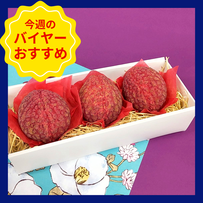 〈ギフト〉宮崎県産　国産生ライチ　3粒入り(3Lサイズ)　【入荷次第発送】