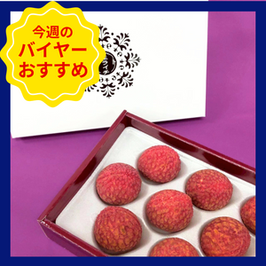〈ギフト〉宮崎県産　国産生ライチ　9粒入り(3Lサイズ)　化粧箱【入荷次第発送】