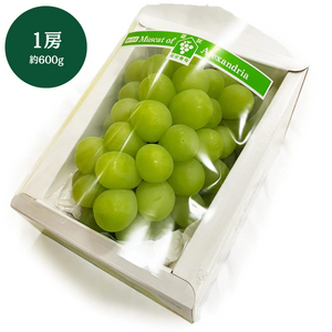 岡山県産他マスカットオブアレキサンドリア化粧箱　1房入（約600g）