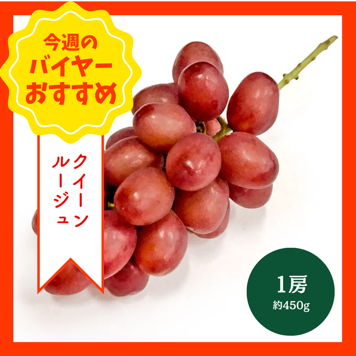 【9/6からおすすめ商品】クイーンルージュ　1房(約450g)　長野県産