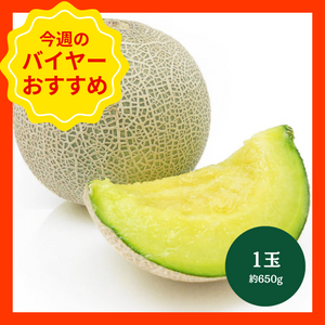 【4/26からおすすめ商品】グリーンメロン　1玉(約650g)　茨城県産他