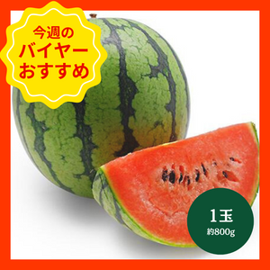 【3/22からおすすめ商品】小玉西瓜「ひとりじめ」　1玉(約800g)　熊本県産