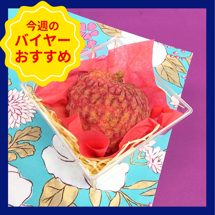 〈ギフト〉宮崎県産　国産生ライチ　1粒入り(3Lサイズ)　【入荷次第発送】