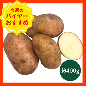 【数量限定！　おすすめ商品】北海道剣淵町産
『ディンキー』約400g