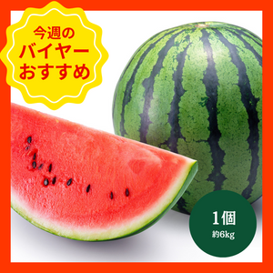 【3/22からおすすめ商品】大玉西瓜　1玉(約6kg)　熊本県産他