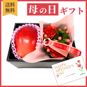 〈母の日ギフト〉
【タンゴ】完熟マンゴーと花のギフト